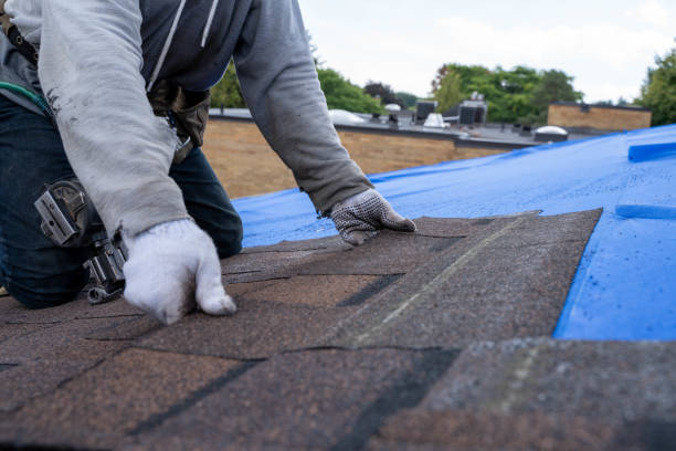 Best Roof Moss and Algae Removal  in Bell, CA